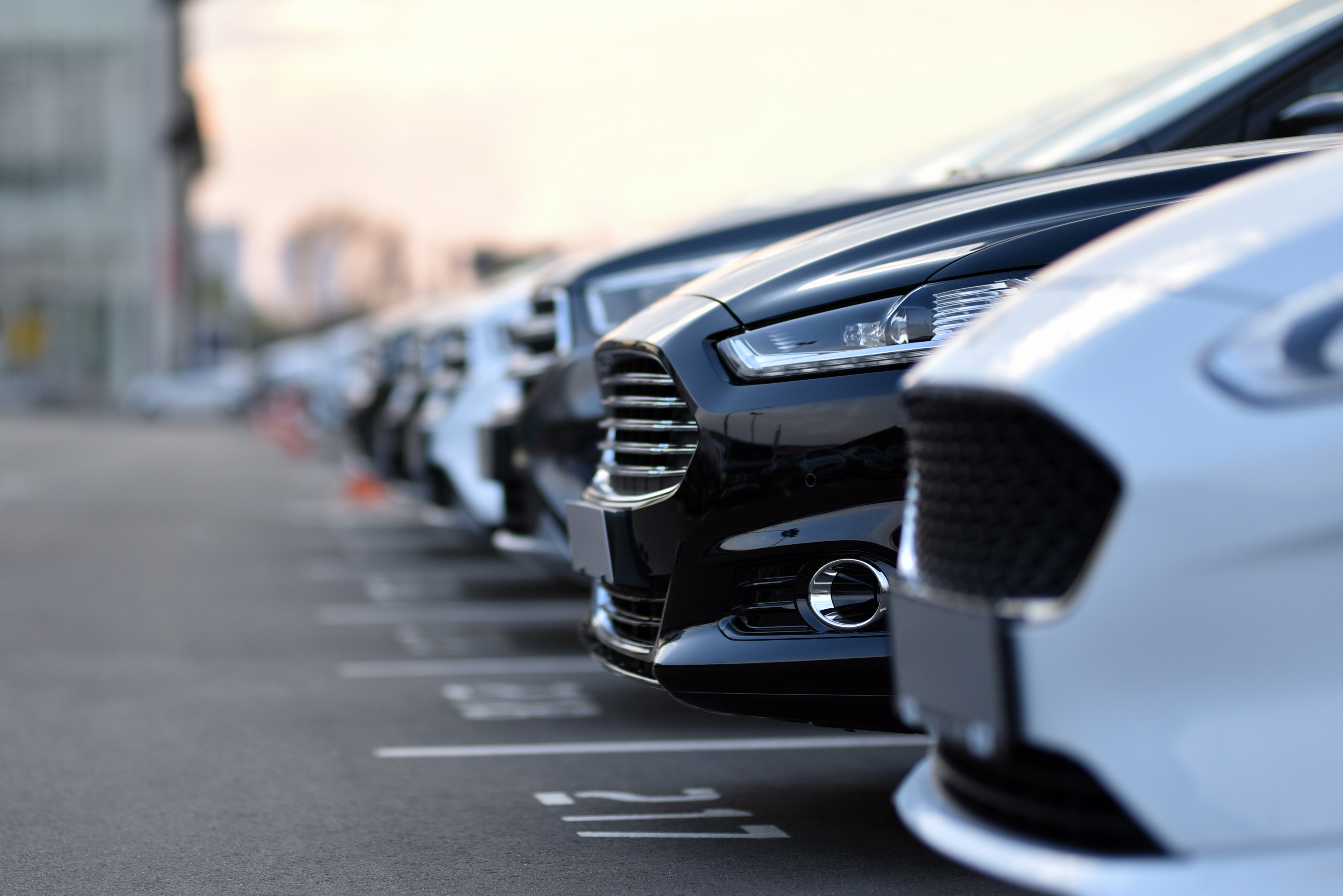redovi crnih i bijelih automobila na parkiralištu koji čekaju na prodaju