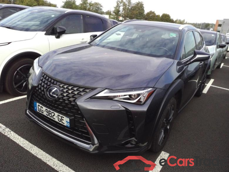 UX250H STYLE EDITION                F