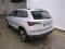 preview Skoda Karoq #1