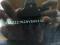 preview Seat Alhambra #4