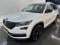 preview Skoda Kodiaq #0