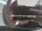 preview Skoda Enyaq #5