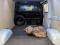preview Maxus eDeliver 3 #5