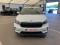 preview Skoda Enyaq #2