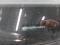 preview Volkswagen Sharan #5