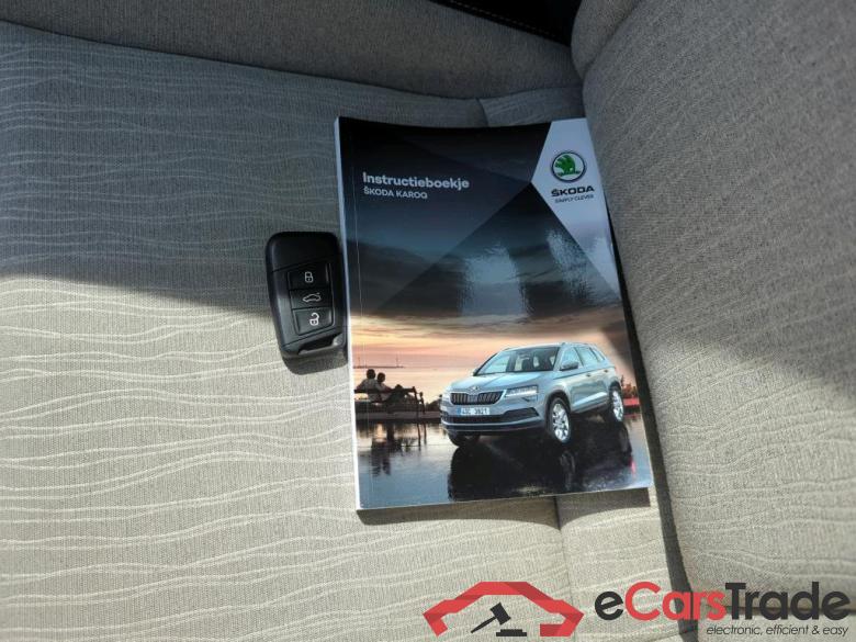 SKODA Karoq 110 kW #6