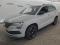 preview Skoda Karoq #0