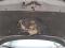 preview Peugeot 308 #4
