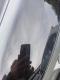 preview Skoda Enyaq #2