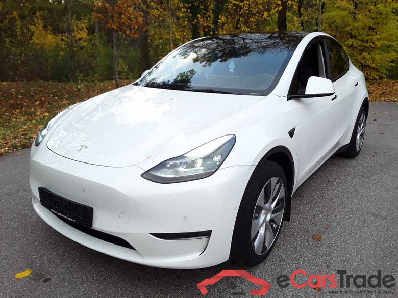 Tesla Model Y (01.2021->), Dual, Maximale Reichweite Dual AWD, 2021 - 2025