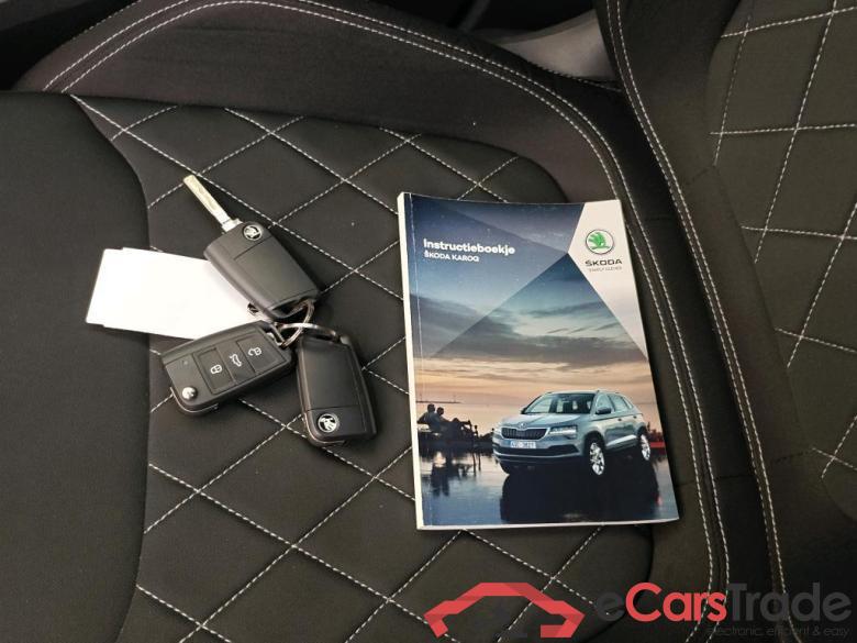 SKODA Karoq 110 kW #6