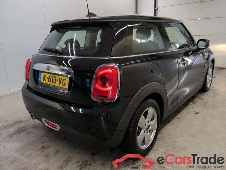 Mini Mini 1.5 One Chili #2