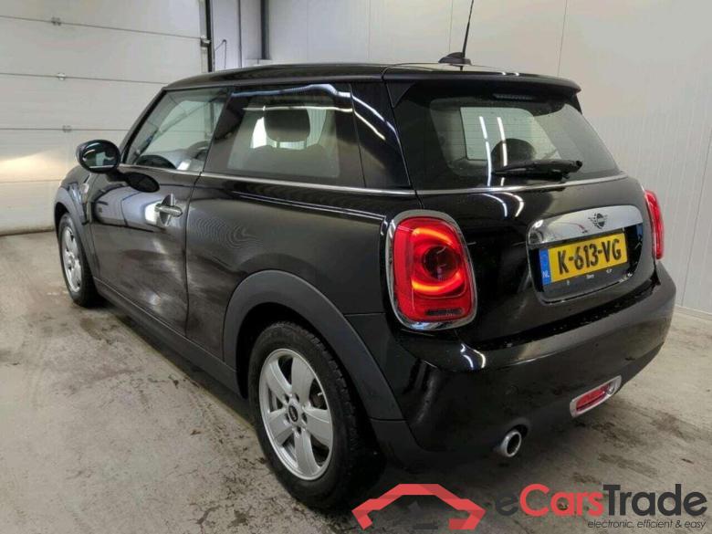 Mini Mini 1.5 One Chili #6