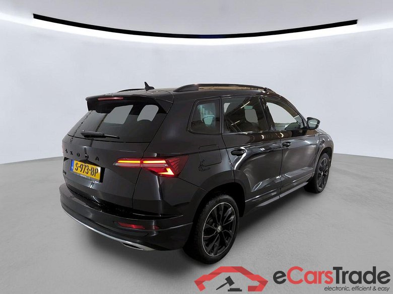 SKODA Karoq 110 kW #6