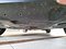 preview Hyundai Tucson #4