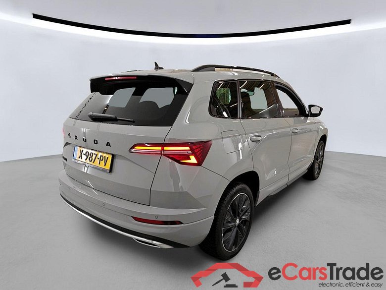 SKODA Karoq 110 kW #6