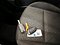 preview Kia Picanto #4