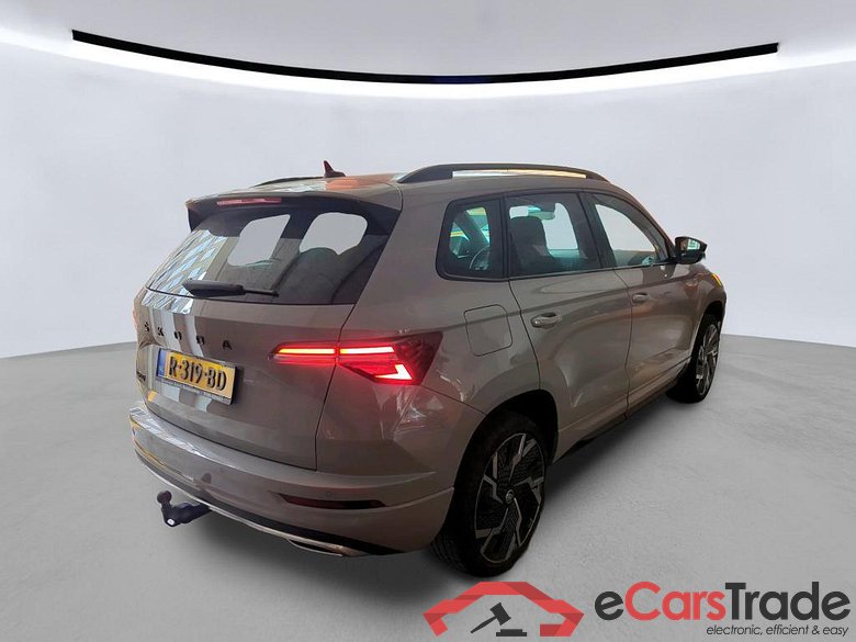 SKODA Karoq 110 kW #6