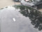 preview Volkswagen Polo #3