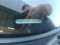 preview Audi A1 #2