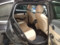 preview Mercedes EQC #4