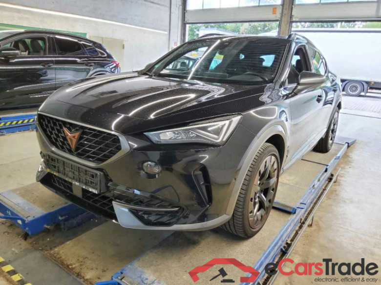 Cupra Formentor (KM7)(08.2020->) DE - SUV5 2.0 TSI EU6d, VZ 4Drive, 2020 - 2024