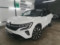 preview Renault Austral #0