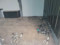preview Renault Master #5